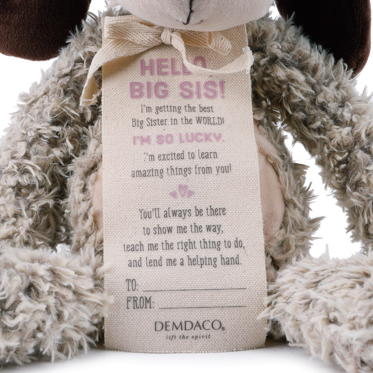 Gift From New Baby - Hello, Big Sis! Puppy