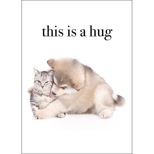 Animal Affirmations Card - This Is A Hug (Puppy & Kitten)