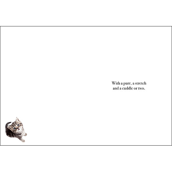 Animal Affirmations Card - Happiness Is…When l’m Right Next To You (Cats)