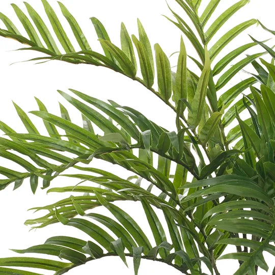 Palm Areca Plant - Green 63cm