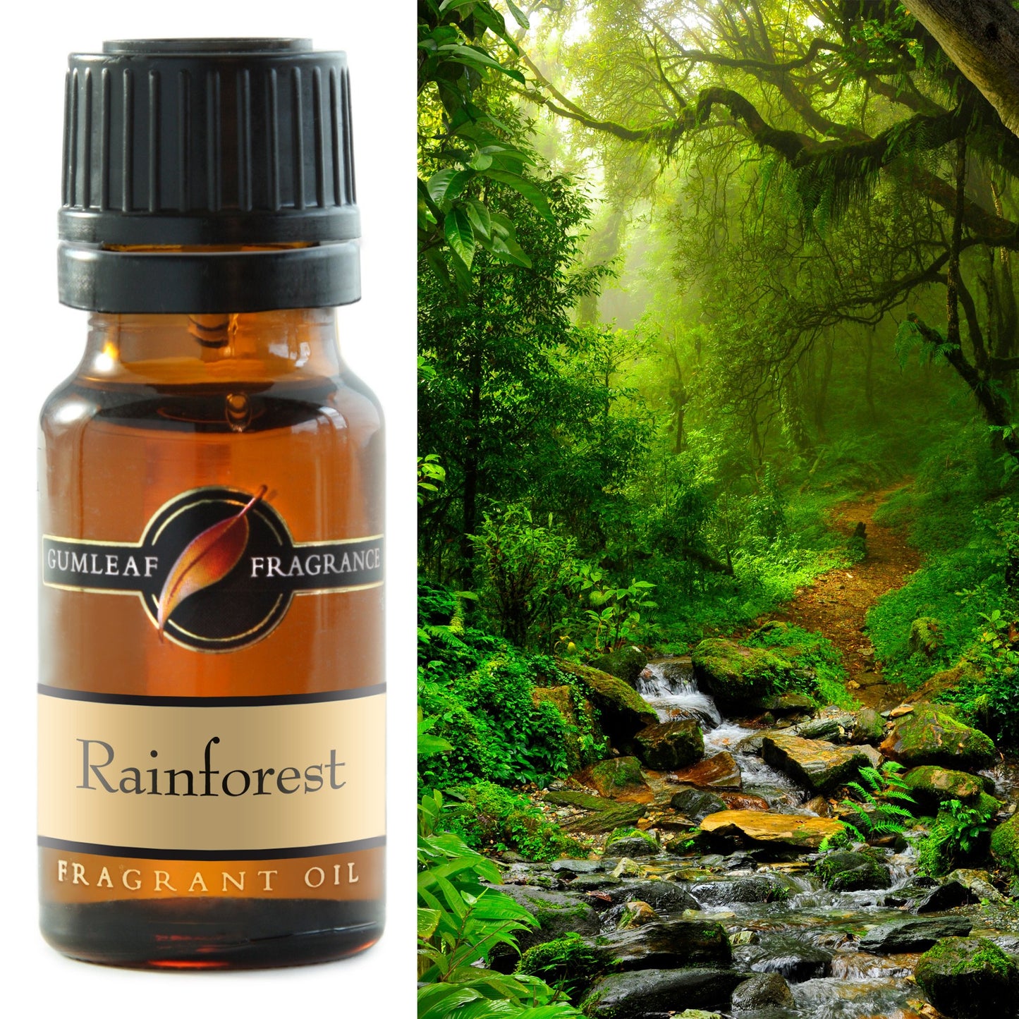 Fragrance Oil - Rainforest