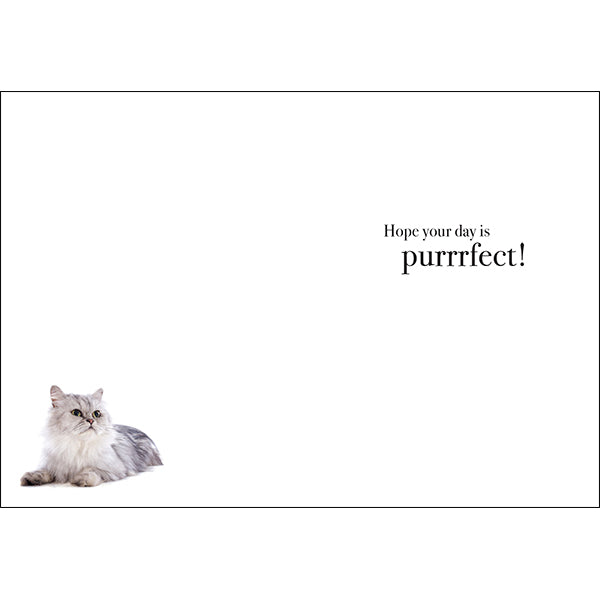 Animal Affirmations Card - Happy Birthday to One Cool Cat