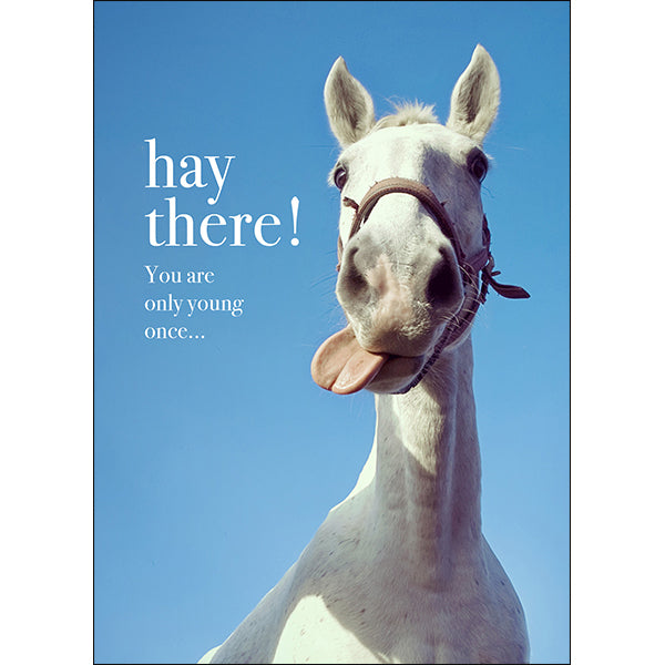Animal Affirmations Card - Hay There! (Horse)
