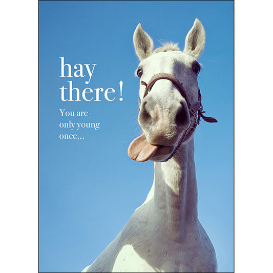 Animal Affirmations Card - Hay There! (Horse)