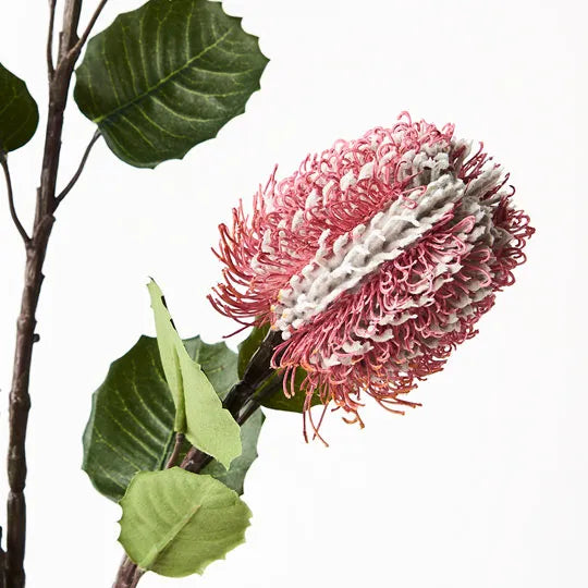 Banksia Spray - Dark Pink 71cm