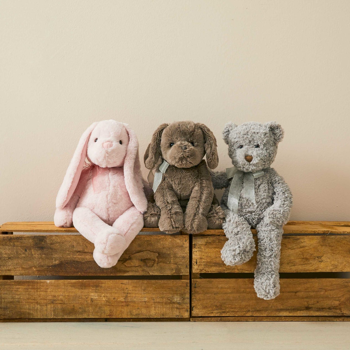 Darcy The Comfort Bear