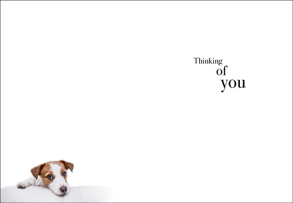 Animal Affirmations Card - Those We Do Not Hold In Our Arms (Dogs)