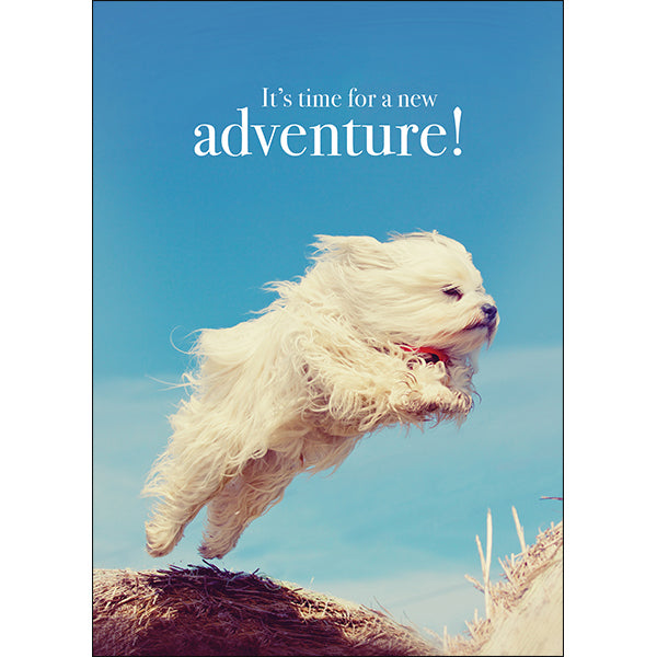 Animal Affirmations Card - New Adventure (Dog)