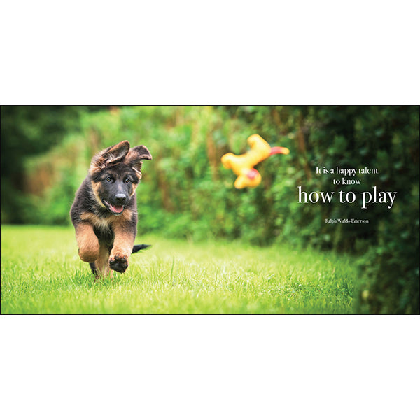 Pupparazzi - Inspirational Book