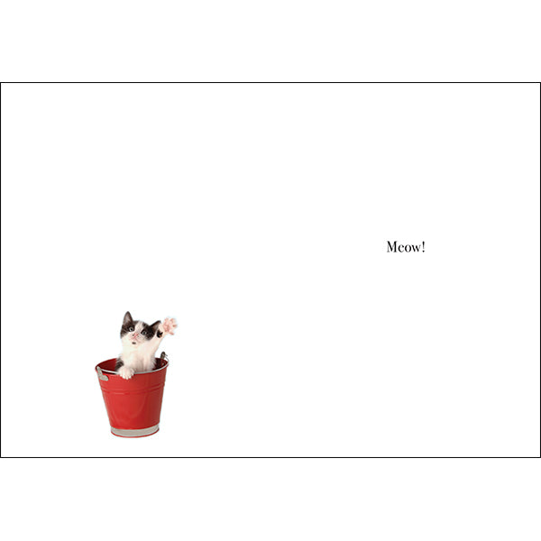 Animal Affirmations Card - Happy Birthday (Kitten In Catnip)