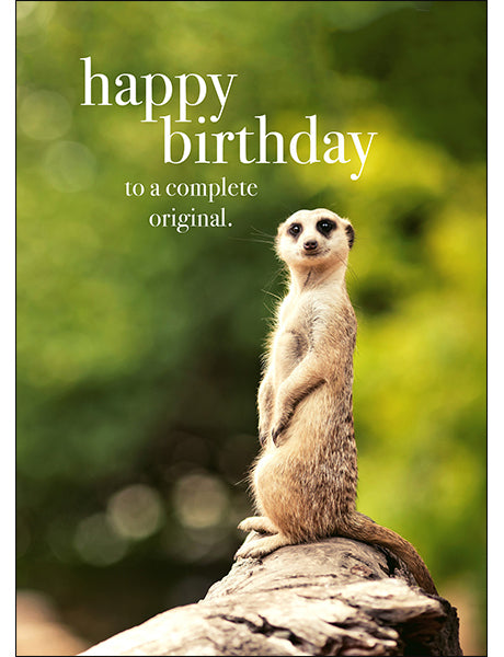 Animal Affirmations Card - Happy Birthday (Meerkat)