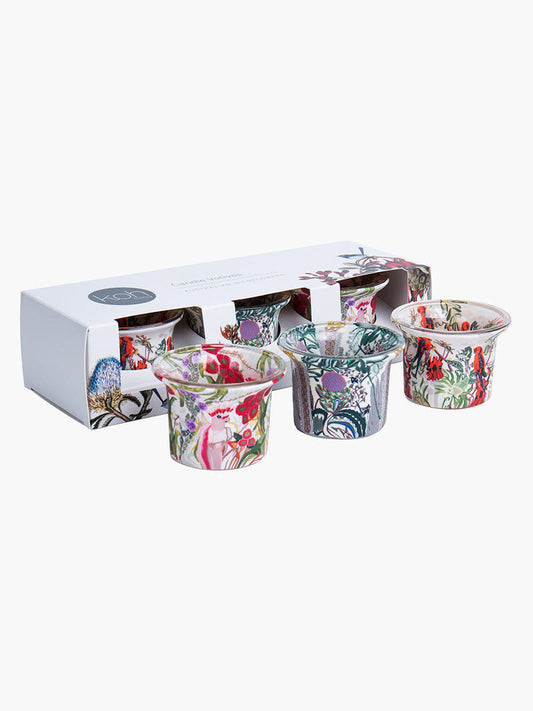 Australian Wildflowers Votive Gift Pack