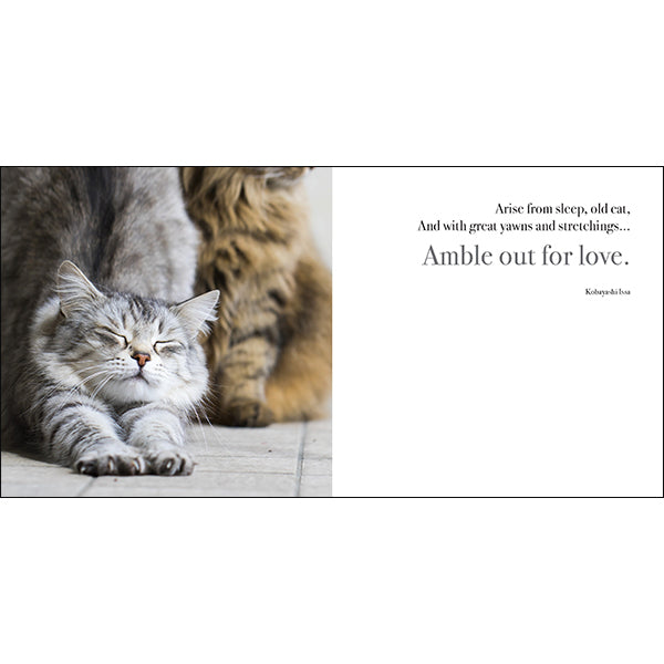 The Great Catsby - Inspirational Book