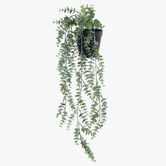 Eucalyptus Hanging Bush in Pot - Grey & Green 73cm