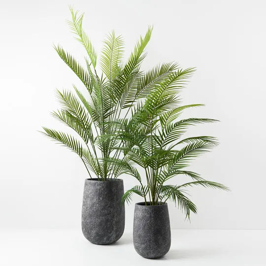 Palm Parlour - Green 126cm
