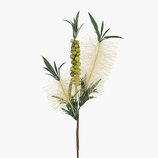 Bottlebrush Spray - Cream 48cm